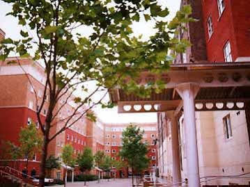Great Dover Street * Londen